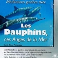 Méditations guidées avec les dauphins, ces anges de la mer