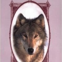 Animal Wise Tarot