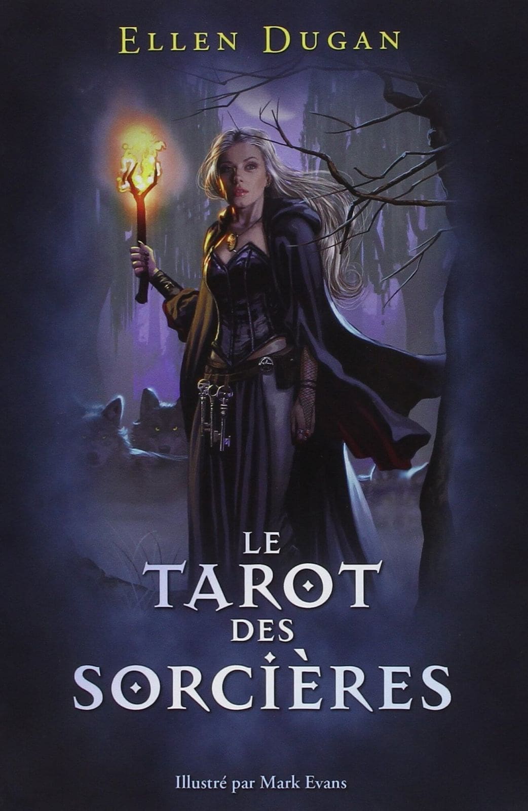 tarot sorcières