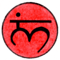 Purification & Reprogramming: The Root Chakra