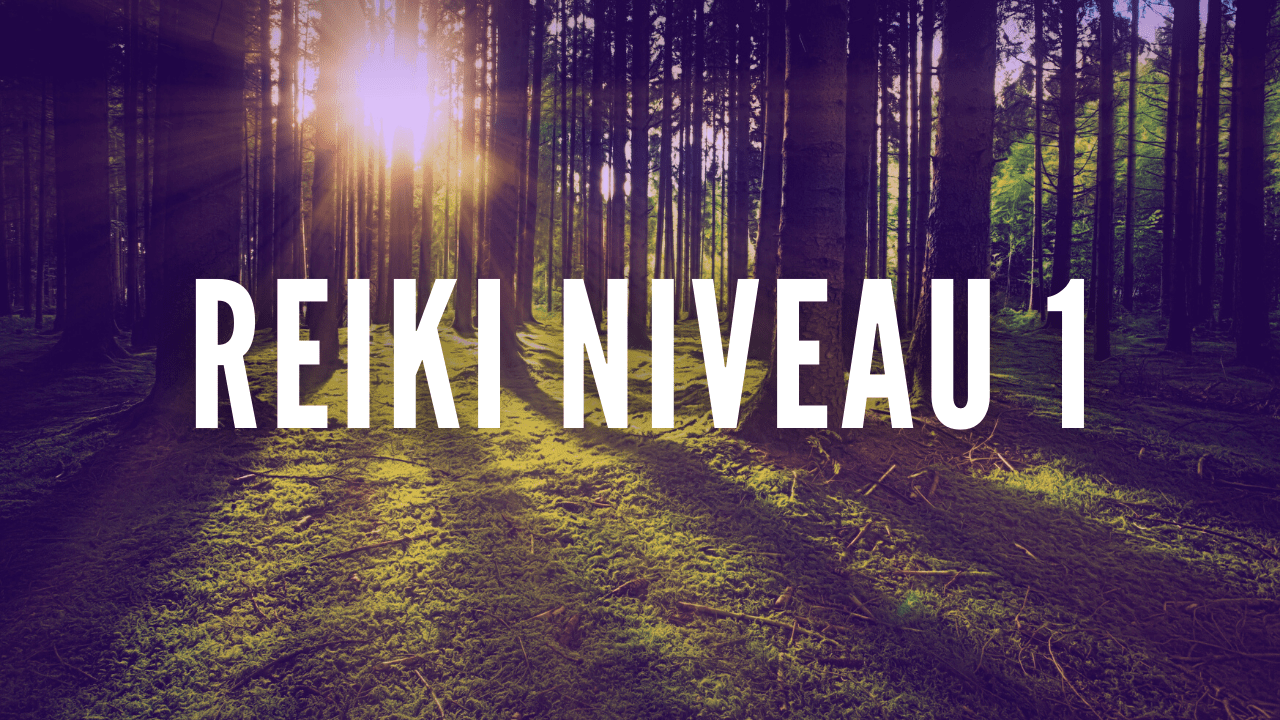 Reiki pour la Vie : Formation en ligne